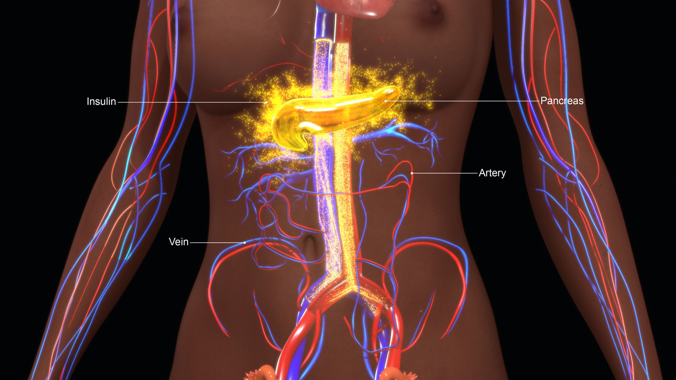 nih-artificial-pancreas-system-better-controls-blood-glucose-levels